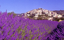 Provence Map